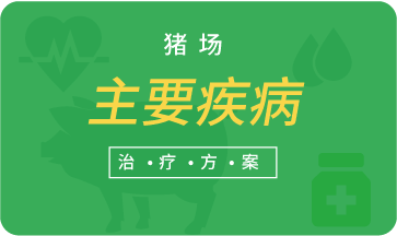 豬場(chǎng)主要疾病治療方案