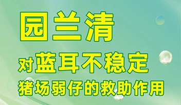 園蘭清對藍耳不穩(wěn)定豬場弱仔的救助作用！