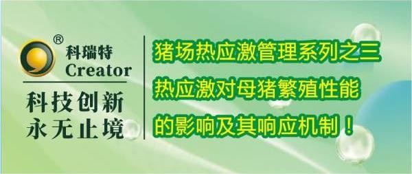 養(yǎng)殖技術(shù) | 熱應(yīng)激對(duì)母豬繁殖性能的影響及其響應(yīng)機(jī)制