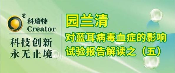 養(yǎng)殖技術 | 園蘭清對PRRSV攻毒仔豬保護試驗綜合解讀-試驗報告解讀之五