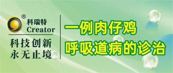 案例分析 | 一例肉仔雞呼吸道病的診治